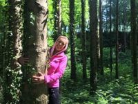 Fasten nach Buchinger mit der Kraft der Bäume verbindet Selbstheilungskraft mit der Heilkraft des Waldes am Besten mit Katharina Lhotsky im Kloster Pernegg.